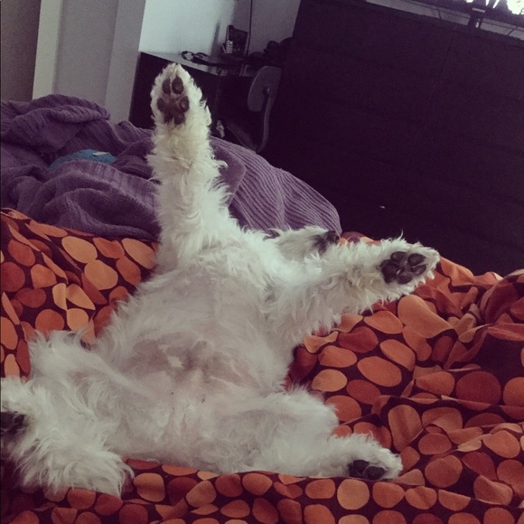 Meet your Posher, Erin - Picture 1 of 1